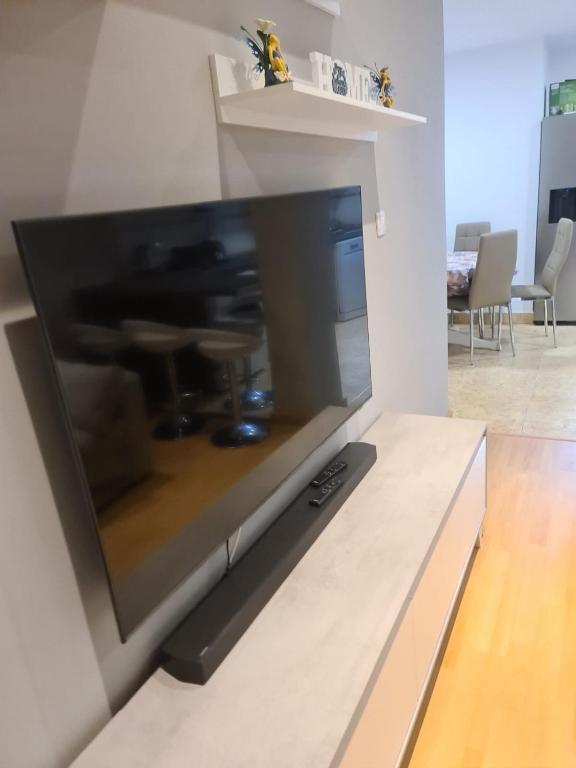 TV a/nebo společenská místnost v ubytování Apartamento Zaragoza Centro