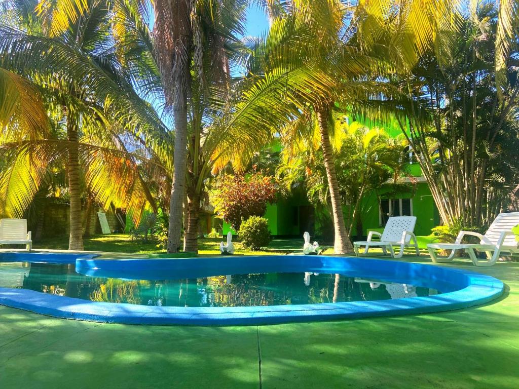 Casa Palmeras - Housity