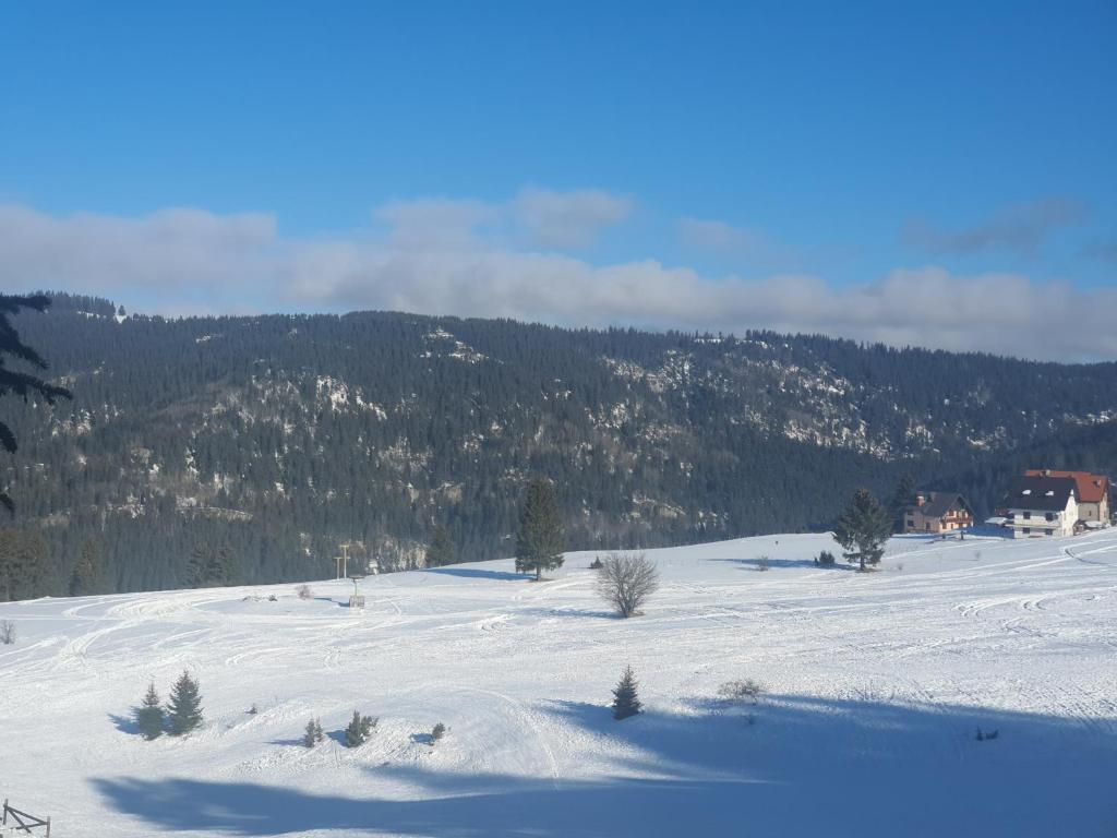 Chalet The Best View v zimě