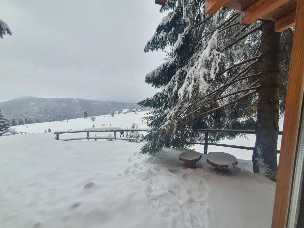 Chalet The Best View v zimě