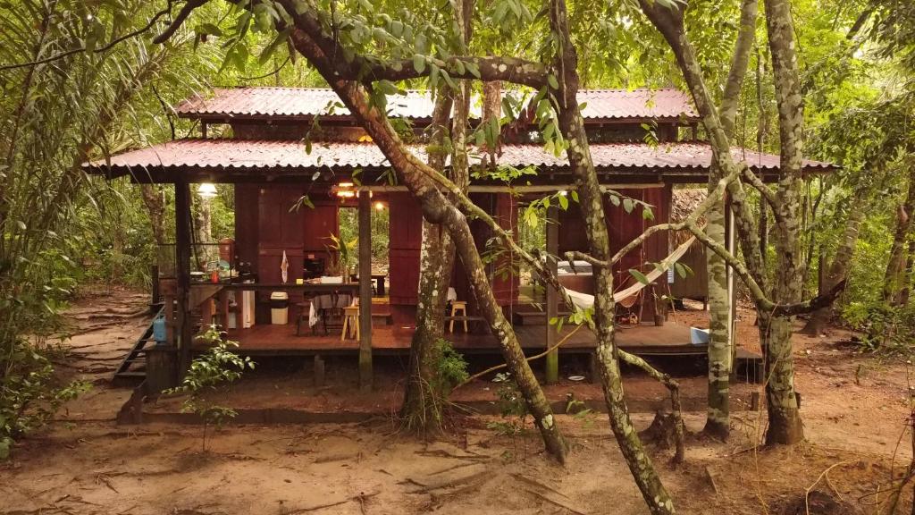 a house in the middle of a forest at Bangalô Ponta de Areia, na beira da praia in Alter do Chao