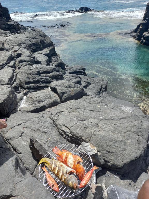 ein Korb mit Meeresfrüchten auf Felsen in der Nähe des Ozeans in der Unterkunft Figo Apartamentos in Praia