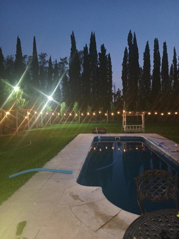 Quinta piramidal