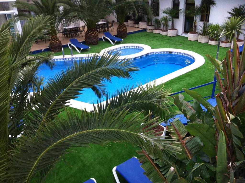 una vista aérea de una piscina con sillas azules y palmeras en Hotel Jaime I, en Peñíscola