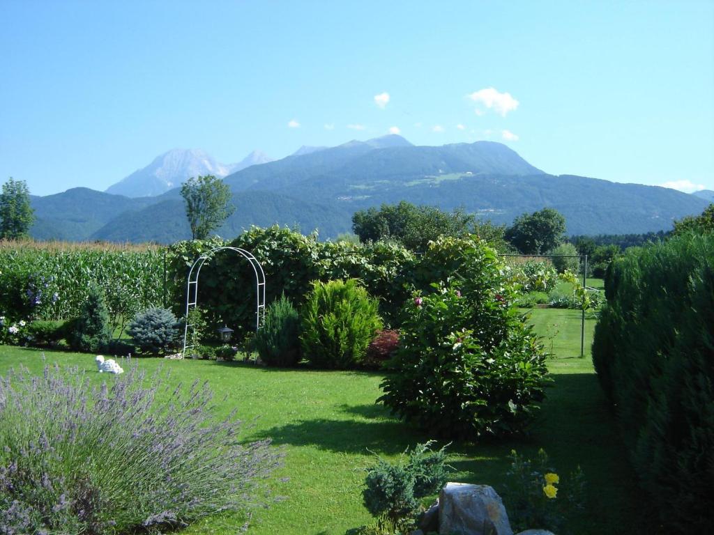 un jardín con vistas a las montañas de fondo en Rooms & Apartments Jana, en Cerklje na Gorenjskem