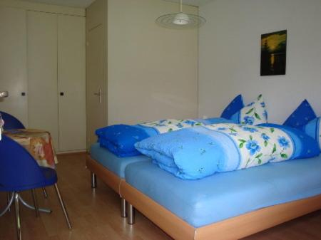 Hotel Ristorante Schlössli - Resim 11