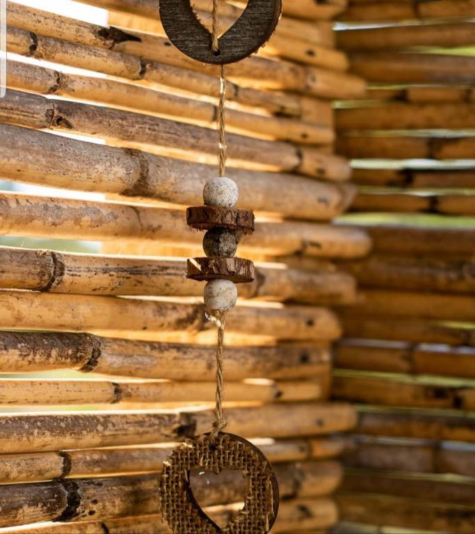 Fotografie z fotogalerie ubytování Sublim' Ecolodge v destinaci Abela