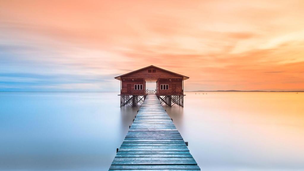 Arfa, Łódź Updated 2024 Prices