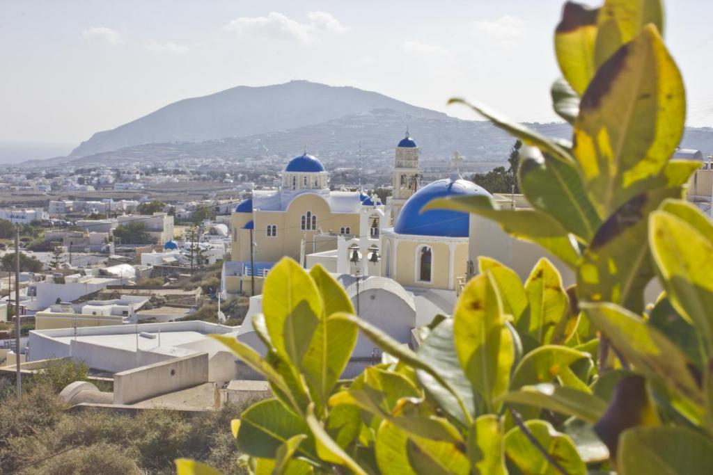 Nectarios Villa - Studios & Suites Adults Only - 10