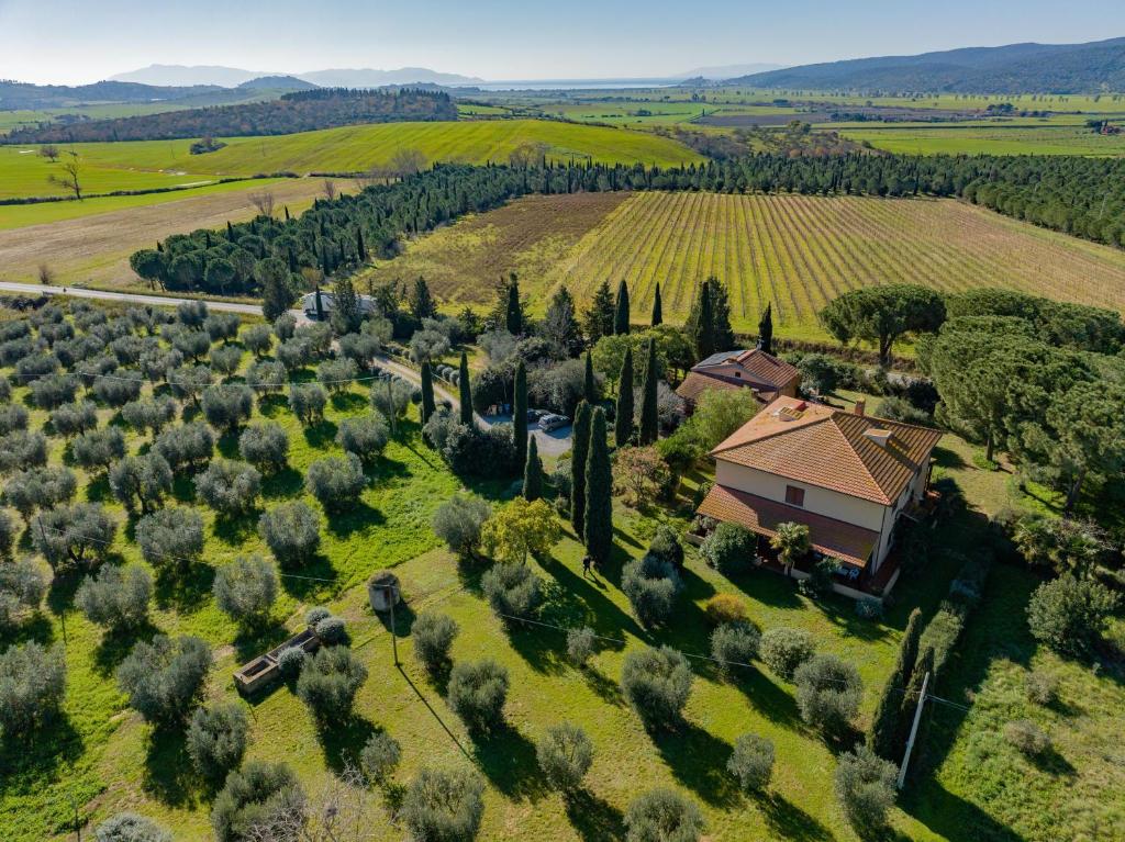 Skats uz naktsmītni Affitti Brevi Toscana - A due passi dal Mare no putna lidojuma