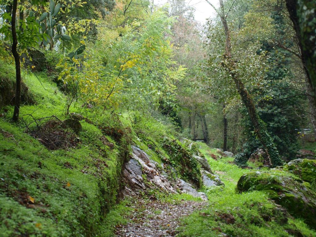 Camping La Eliza, Lanzahita – Updated 2021 Prices