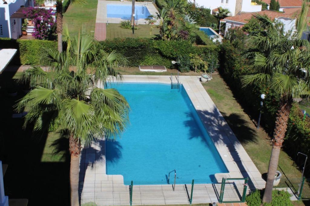 een uitzicht over een zwembad met palmbomen bij 2056 - Apt with terrace sea view in Manilva