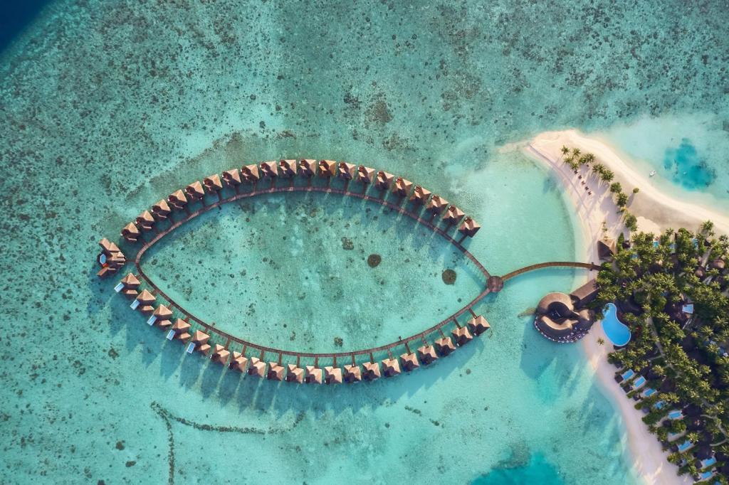 Sun Siyam Vilu Reef with Free Transfer, Dhaalu Atoll – Precios actualizados  2023