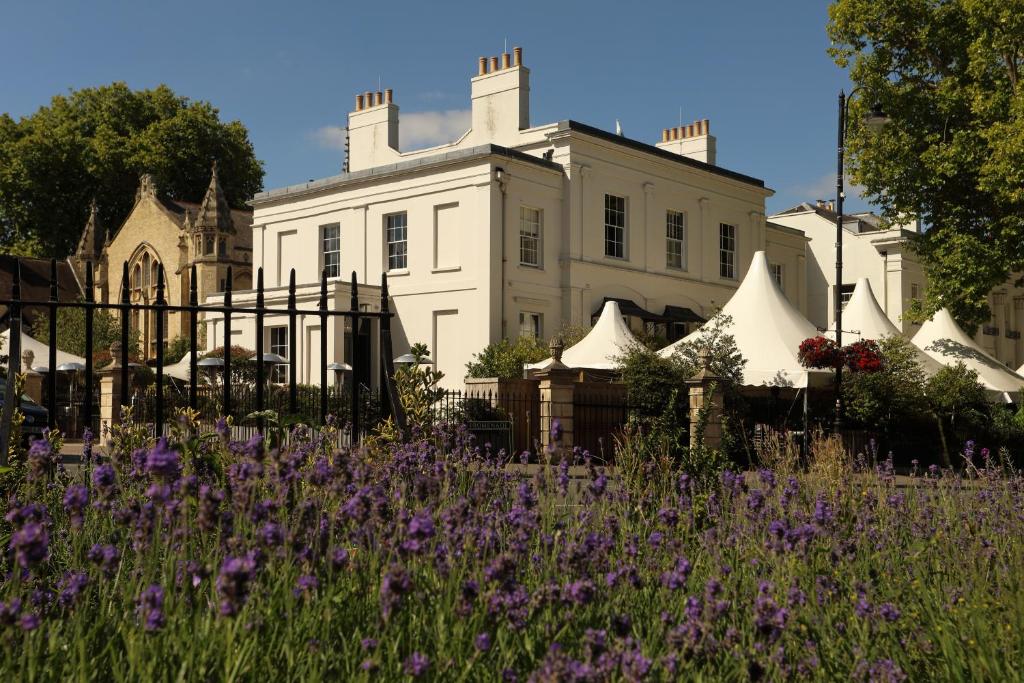 a white house with a field of purple flowers at No131 The Promenade in Cheltenham