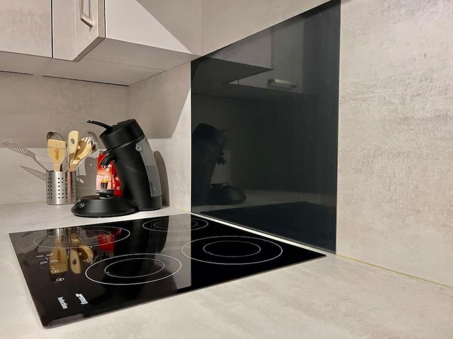 Kuchyňa alebo kuchynka v ubytovaní Duplex 70m2 - Vue Cité Mediévale - Parking gratuit
