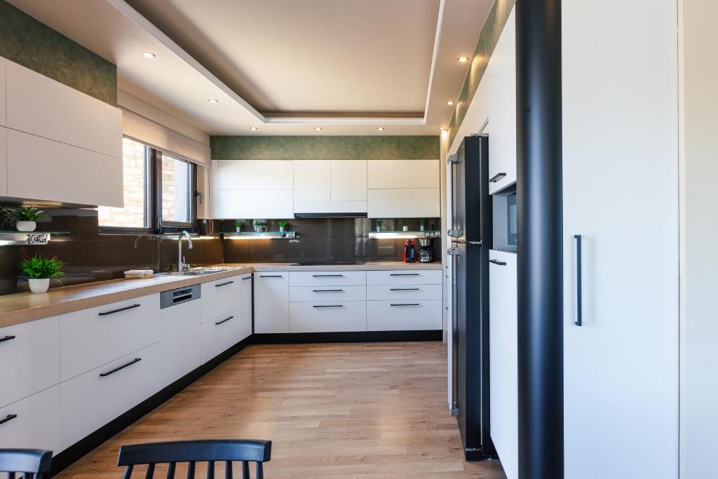 Kuchyň nebo kuchyňský kout v ubytování Akira Villa
