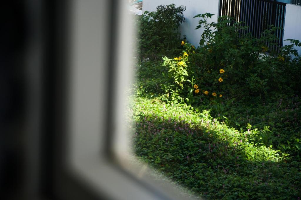 Vườn quanh Môn Bạc Home