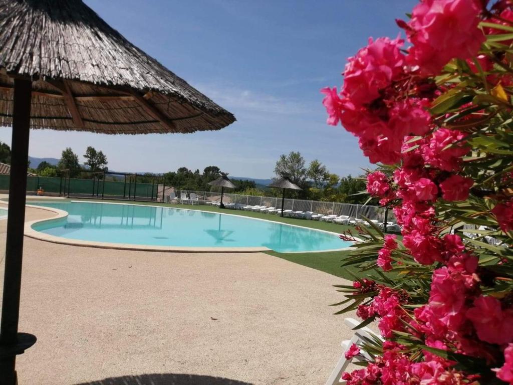 a resort swimming pool with a straw umbrella and pink flowers at Domaine des Garrigues in Grospierres