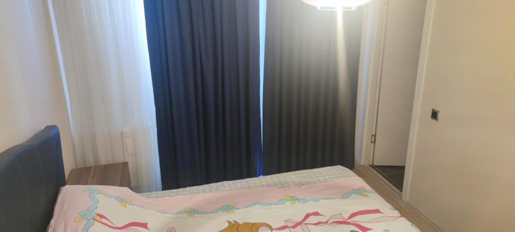 um quarto com uma cama e uma janela com cortinas em Private Room in Istanbul #35 em Istambul