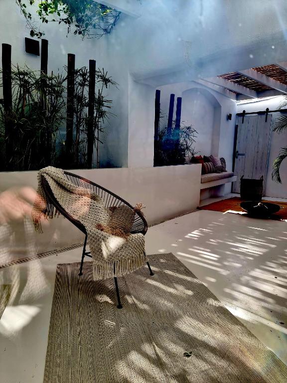 a bird sitting on a chair in a room at Casa BOHO in Alaminos