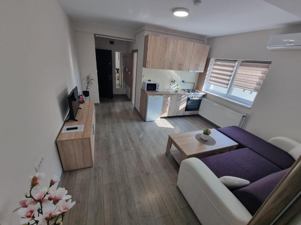 Kuchyň nebo kuchyňský kout v ubytování City Premium Apartments