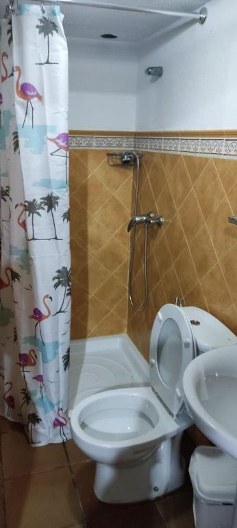 A bathroom at House Vochozka