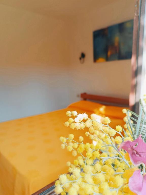 Residence Maïna - 15