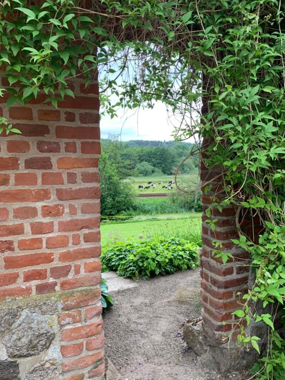 Zahrada ubytování Gartnerhuset på Kollerup