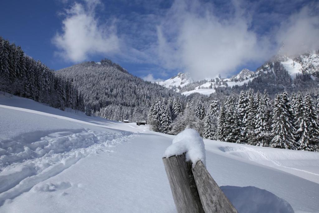 Torgon Rustig wandel en skigebied in Portes du Soleil, Torgon – Updated  2023 Prices