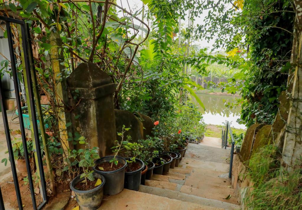 Zahrada ubytování Kudajadri Drizzle Homestay