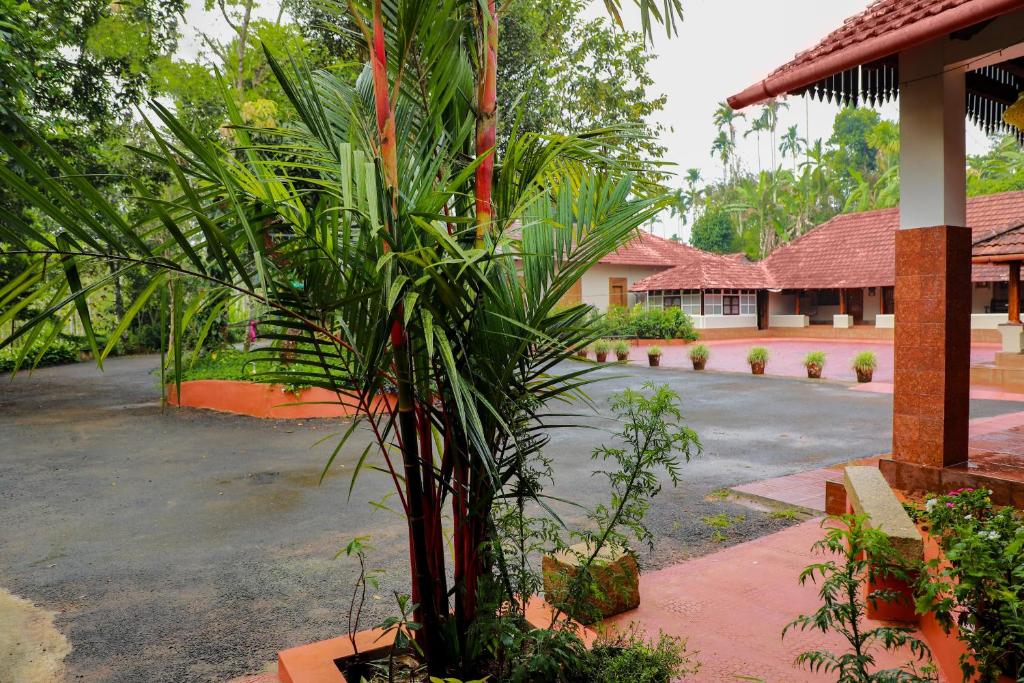 Zahrada ubytování Kudajadri Drizzle Homestay