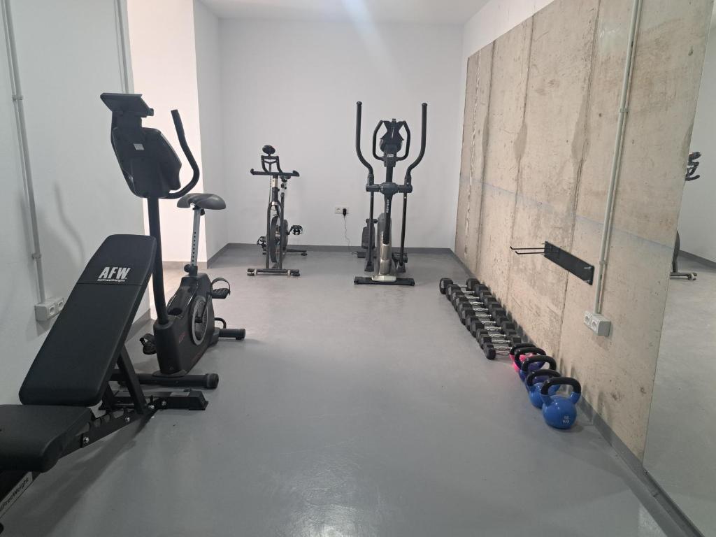 Fitness centrum a/nebo fitness zařízení v ubytování Calma Suites Tejeda