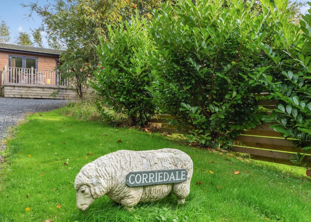 ein Schaf, das im Gras im Hof steht in der Unterkunft Meadows End Lodges in Cartmel