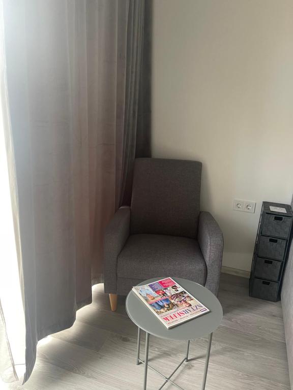 a living room with a chair and a table at Remény apartman in Szeged