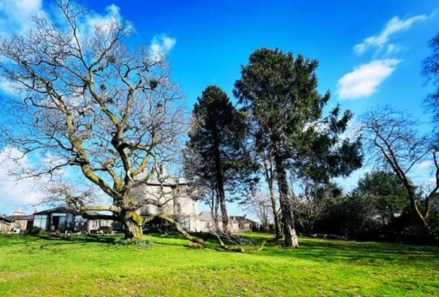 Moffat House - Deluxe Double Room