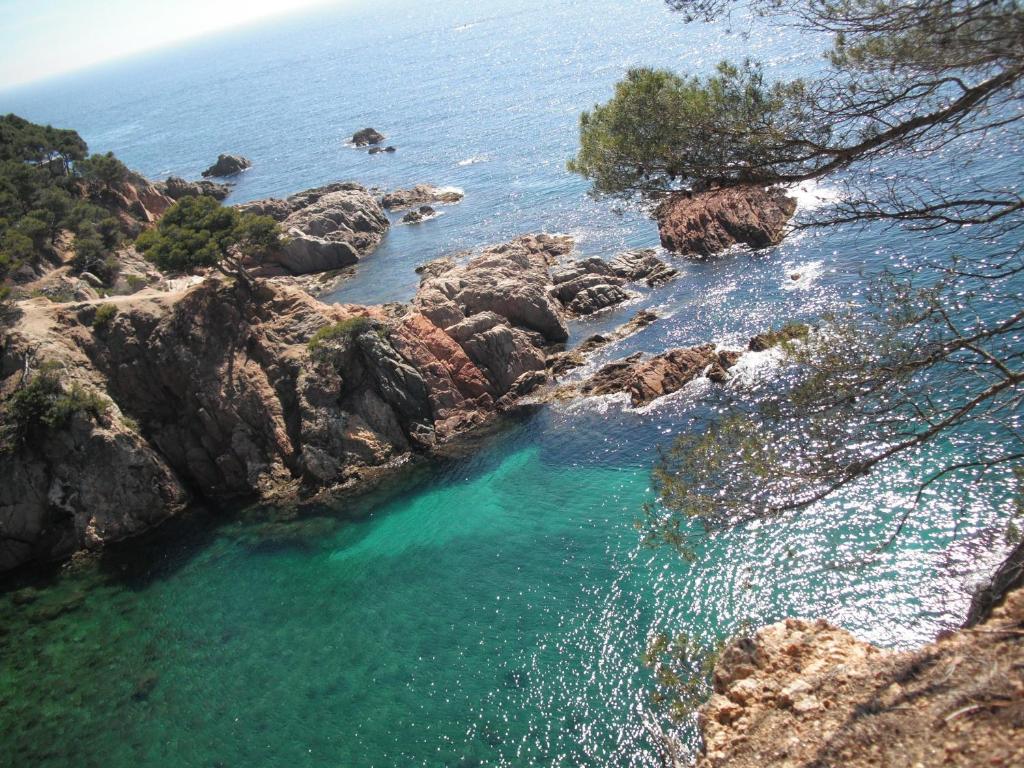 an aerial view of a rocky shore with the ocean at Laura La Fosca in Palamós