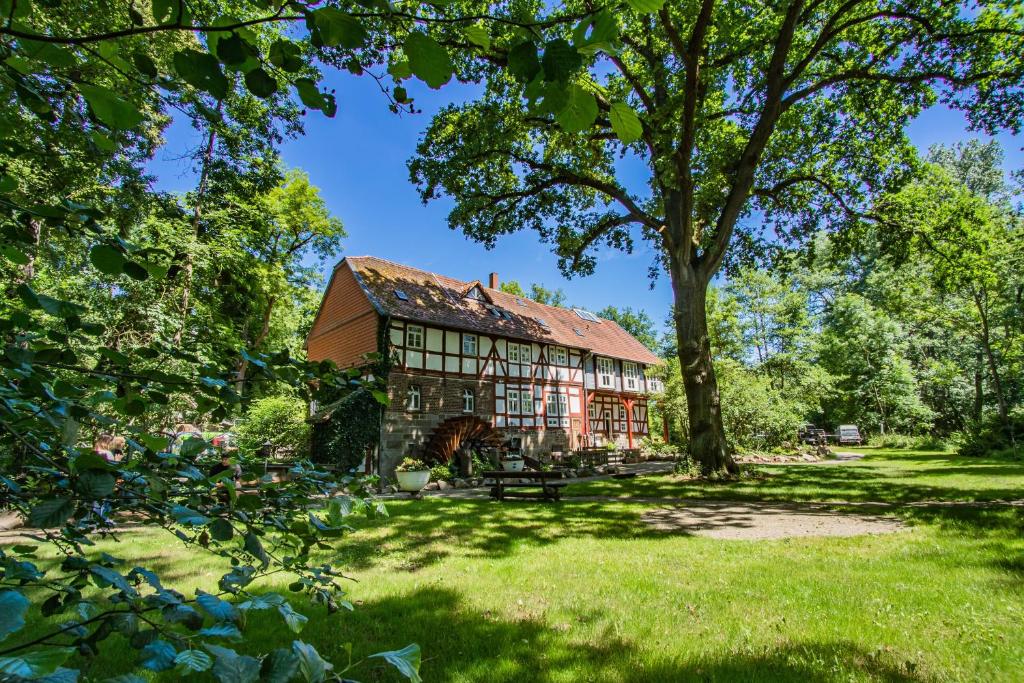 una casa vieja en un parque con un árbol en Hotel Hohlebach Mühle en Homberg
