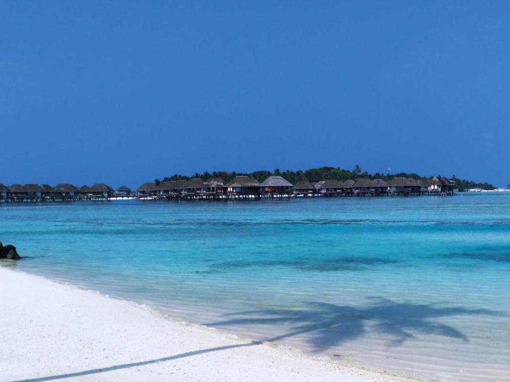 Courtyard Maldives - View 16