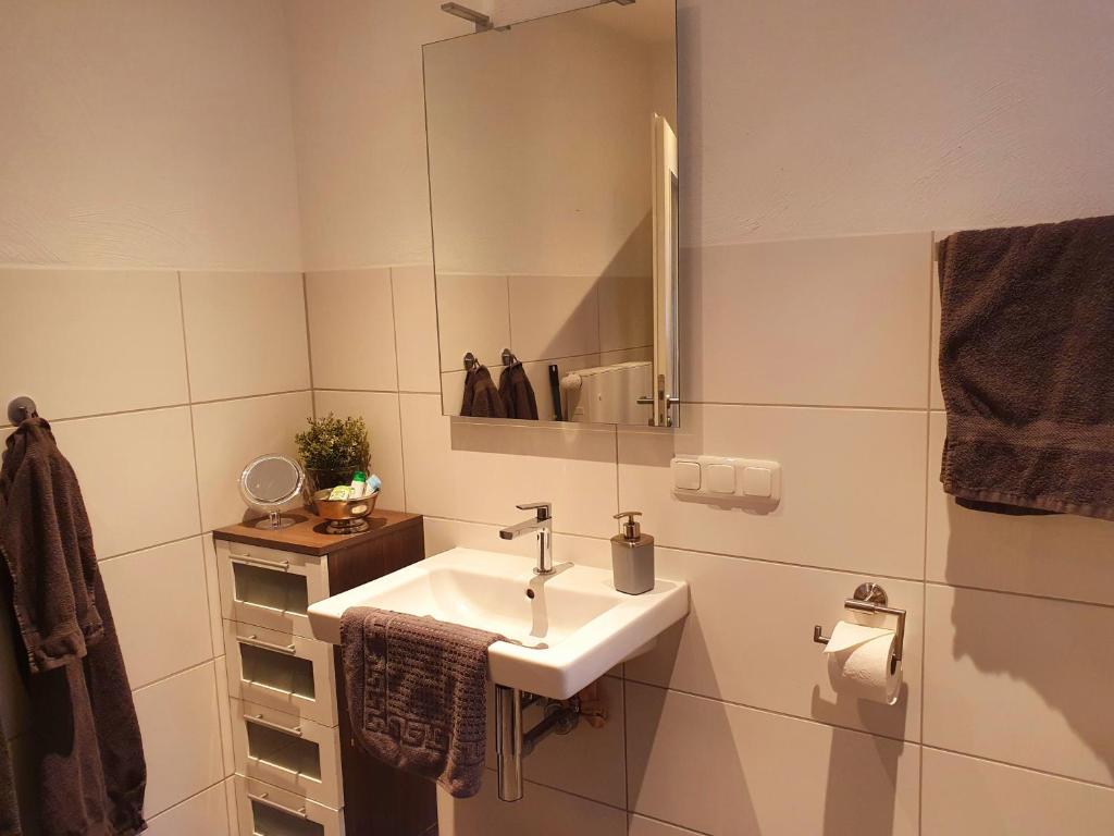 a bathroom with a sink and a mirror at Kleines Domizil am Südhang in Ortenberg