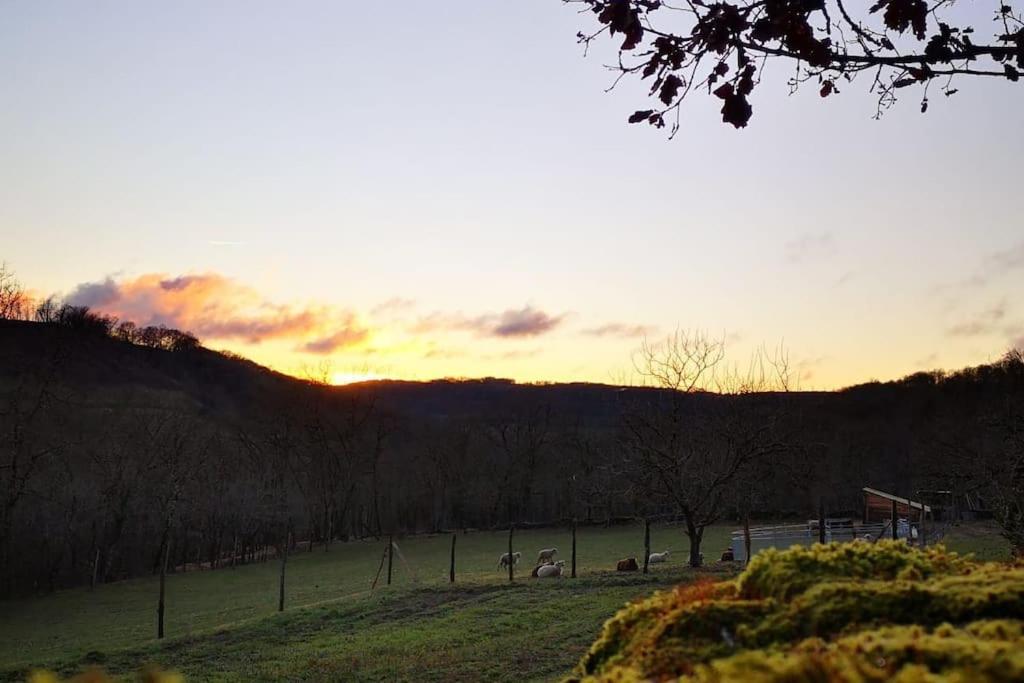 un grupo de animales en un campo al atardecer en Canto perdigal, en Caylus