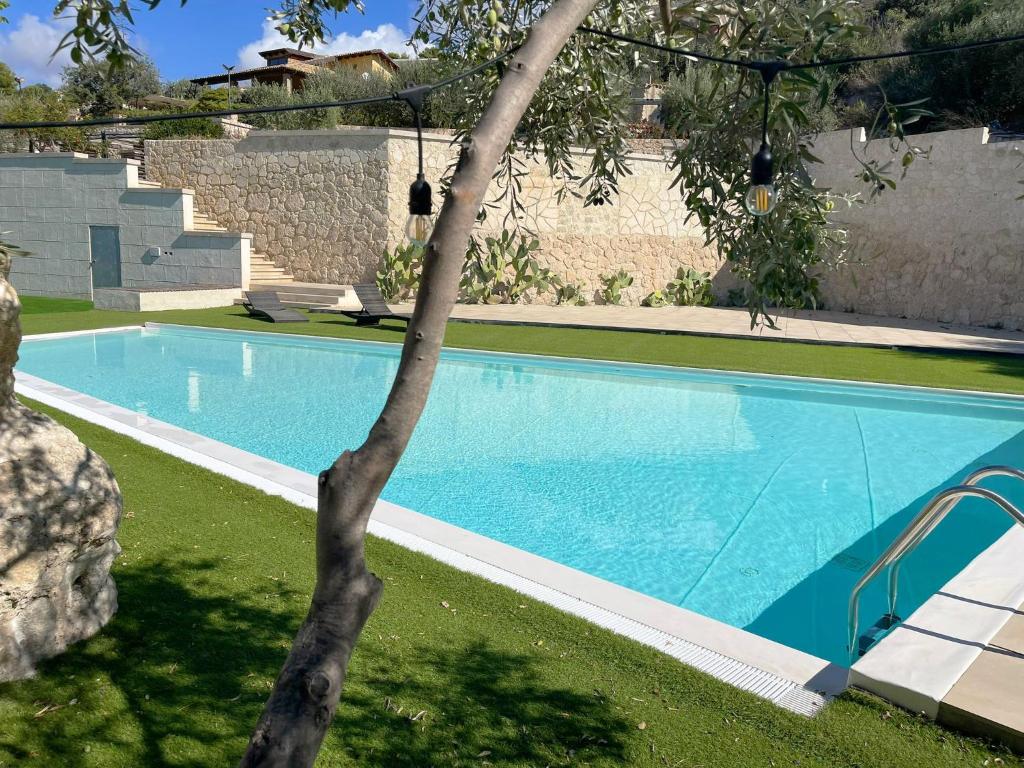 a swimming pool in a yard with a tree at Daedalium in Marina di Palma