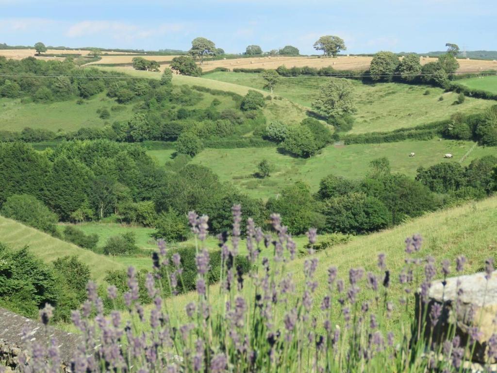 un campo de colinas verdes con flores púrpuras en Beautiful 3-Bed Cottage in Llancarfan Nr Cardiff en Barry