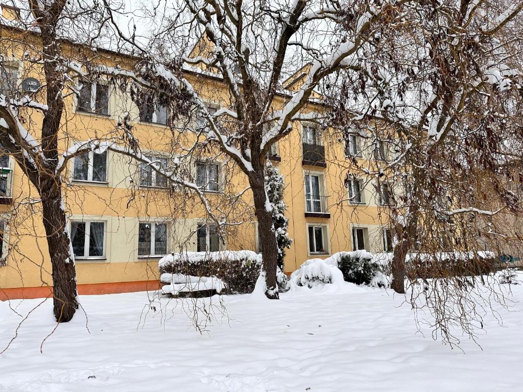 Be Inn - Luxury Apartment Gliwice v zimě