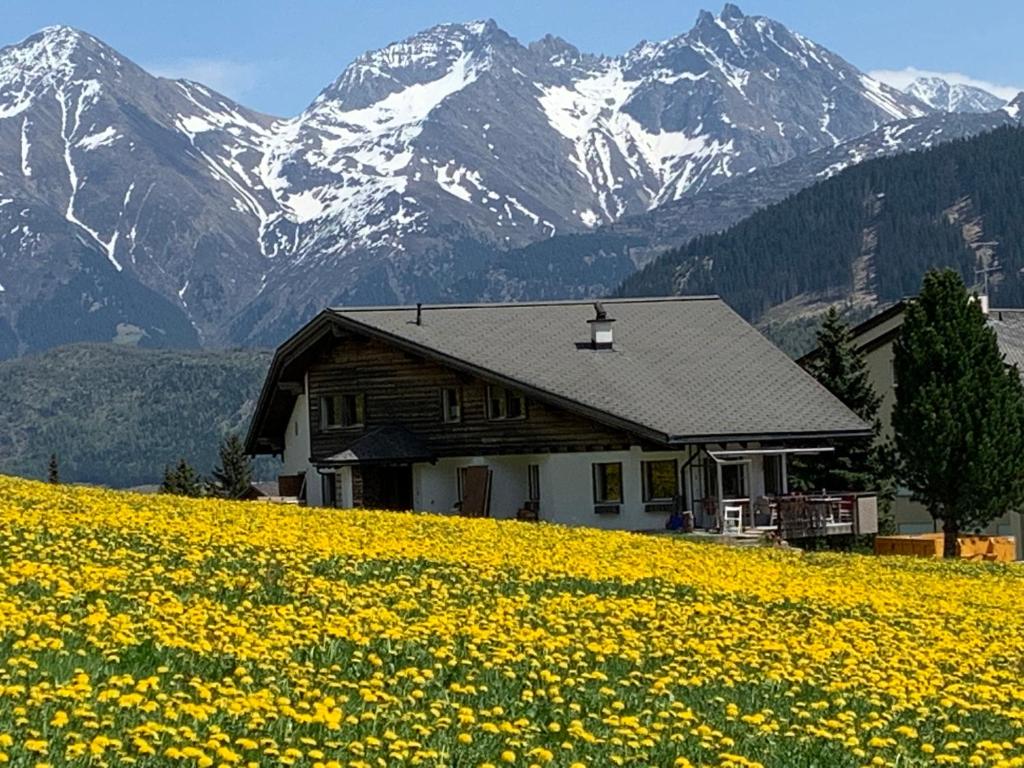 ein Haus auf einem Hügel mit gelben Blumen in der Unterkunft Casa Valtgeva in Sedrun