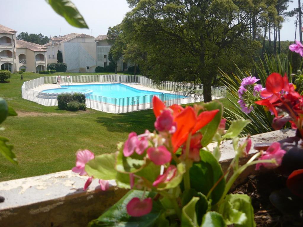 a backyard with a swimming pool and some flowers at Moliets plage, Résidence OPEN SUD in Moliets-et-Maa