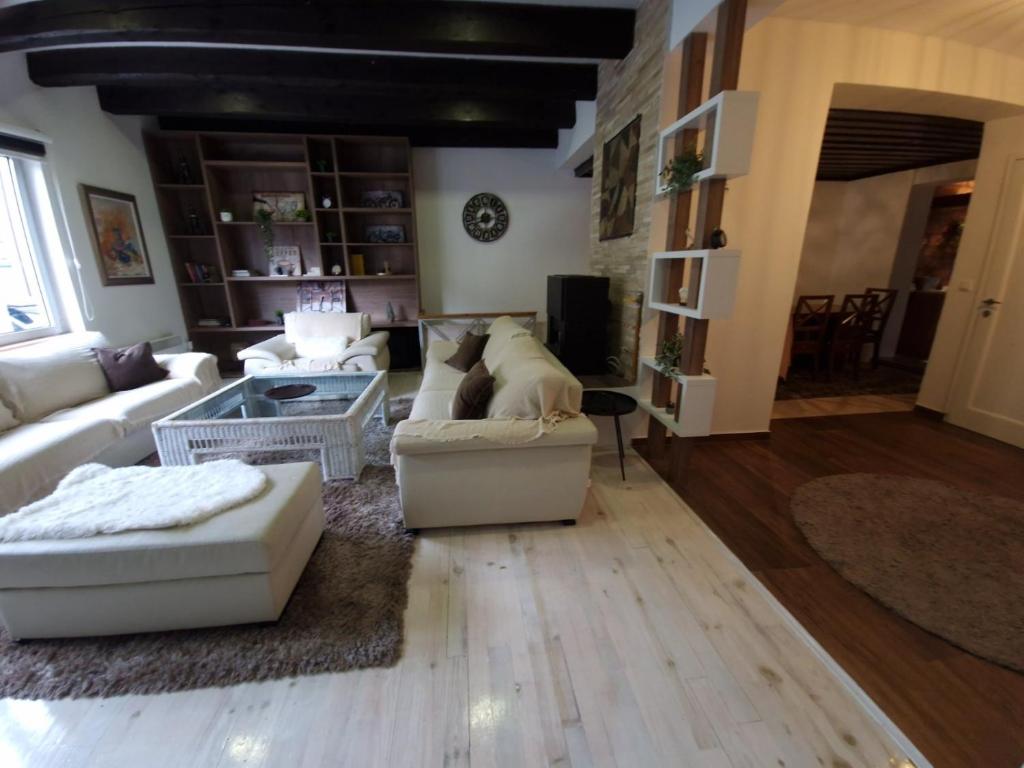 uma sala de estar com sofás e um cão deitado num sofá em BASCARSIJA house em Sarajevo