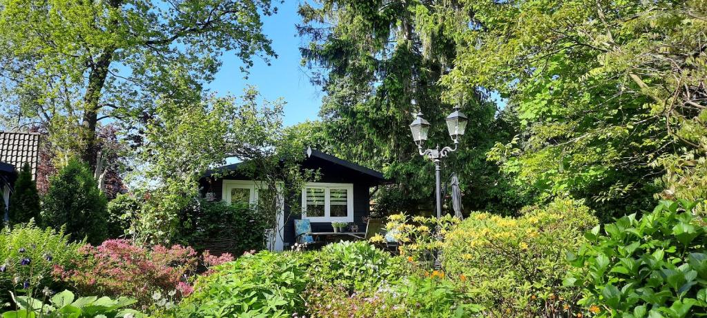 een klein huis midden in een tuin bij Compleet huisje in een groene oase in het centrum van Zuidlaren! in Zuidlaren