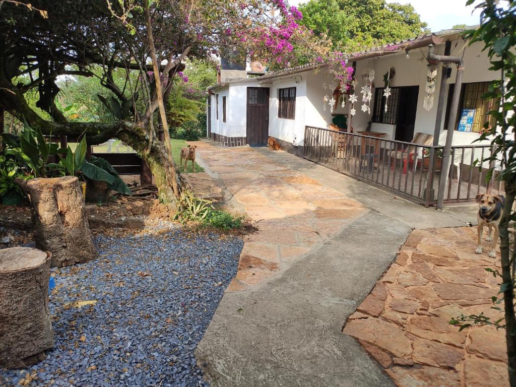 Apartamento en Finca Cafetera Alto Bonito Barbosa Santander, Barbosa