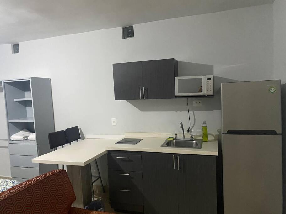a small kitchen with a sink and a refrigerator at Loft Hermoso en Guadalupe BBVA in Monterrey