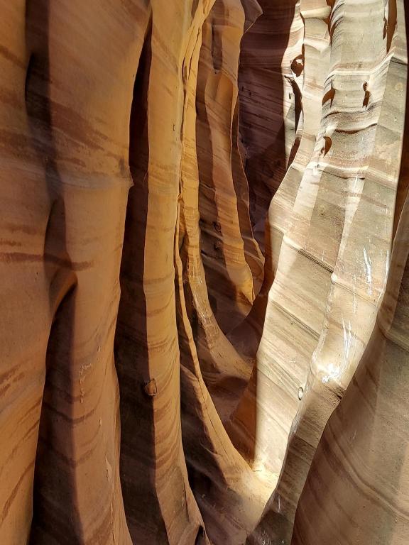 Fotografie z fotogalerie ubytování Canyons Of Escalante RV Park v destinaci Escalante